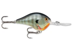 Rapala DT (Dives-To) Series -Deals Catchoria Store 022677085692