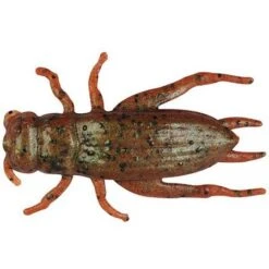 Berkley Gulp Alive Cricket -Deals Catchoria Store 7be5afbf 41d0 456c a176 c0740925e5e2 1.6baf9f40a13ba291e69b6bd31b044fff