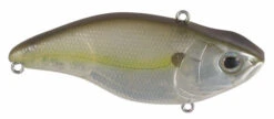 Spro Aruku Shad 75 Lipless Crankbait 20 Spro Aruku Shad 75 Lipless Crankbait -Deals Catchoria Store ARUKU SHAD 75 CLEAR CHARTREUSE