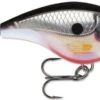 Rapala BX Big Brat Square Bill Crankbait 2 3/4" -Deals Catchoria Store BRAT