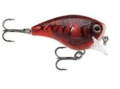Rapala BX Brat Square Bill Crankbait -Deals Catchoria Store DELTA ffabbdc8 4caa 4ca8 9e65 ca3cd0e0168b