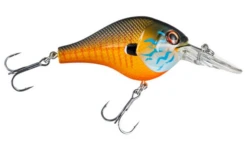 BERKLEY DIGGER -Deals Catchoria Store GILY c14ee24d ca8e 4632 b12d 530516573e0e