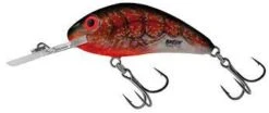 SALMO FLOATING RATTLIN' HORNET -Deals Catchoria Store HCBC