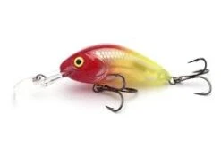 SALMO FLOATING RATTLIN' HORNET -Deals Catchoria Store HCBRH