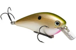 Strike King - KVD Square Bill Crankbait -Deals Catchoria Store HCKVDS4.0 517 mag
