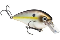 Strike King - KVD Square Bill Crankbait -Deals Catchoria Store HCKVDS4.0 652 mag