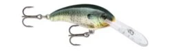 Rapala Shad Rap Deep Runner -Deals Catchoria Store LIVE BLUEGILL