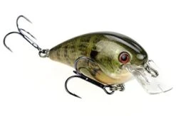 Strike King - KVD Square Bill Crankbait -Deals Catchoria Store NATURAL BREAM
