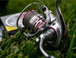 DAIWA PROCYON AL SPINNING REEL 7 DAIWA PROCYON AL SPINNING REEL -Deals Catchoria Store Procyon1