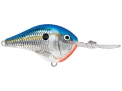 Rapala DT (Dives-To) Series -Deals Catchoria Store RAPALA 101 262ea6de f62a 42b3 adc6 1a99c303f514