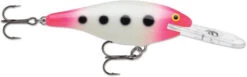 Rapala Shad Rap Deep Runner -Deals Catchoria Store RAPALA 5 1