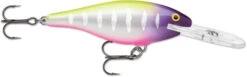 Rapala Shad Rap Deep Runner -Deals Catchoria Store RAPALA 8 8fb4ebe3 1438 4317 8dc5 cc05c82d8214