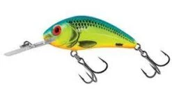 SALMO FLOATING RATTLIN' HORNET -Deals Catchoria Store RHCB