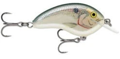 Rapala OG Tiny 04 Shallow Diving Crankbait 2 1/4 Inches 5/16 Oz. -Deals Catchoria Store Rapala 1 f42b89cb 610e 4fa1 bde0 9ccec378c91a