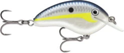 Rapala OG Tiny 04 Shallow Diving Crankbait 2 1/4 Inches 5/16 Oz. -Deals Catchoria Store Rapala 4 fc7bf562 8c0c 4e95 97a2 aeafd7b75d6f