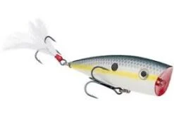 STRIKE KING KVD SPLASH TOPWATER POPPER -Deals Catchoria Store S590