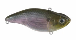 Spro Aruku Shad 75 Lipless Crankbait 22 Spro Aruku Shad 75 Lipless Crankbait -Deals Catchoria Store SAS75SPS 2