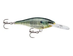 Rapala Shad Rap Medium Diving Crankbait 28 Rapala Shad Rap Medium Diving Crankbait -Deals Catchoria Store SR BGL