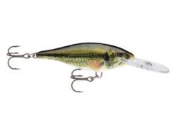 Rapala Shad Rap Medium Diving Crankbait 27 Rapala Shad Rap Medium Diving Crankbait -Deals Catchoria Store SR LBL