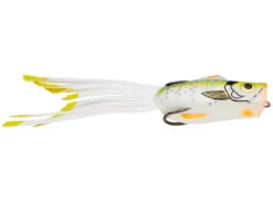 Strike King - KVD Popping Perch -Deals Catchoria Store Sexy Bluegill