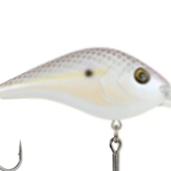 BERKLEY DREDGER -Deals Catchoria Store download 11