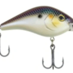 BERKLEY DREDGER -Deals Catchoria Store download 4 e8636c0b 36b2 4bc9 8dd0 0986a454d03a