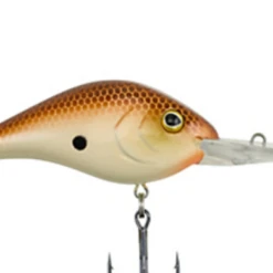 BERKLEY DREDGER -Deals Catchoria Store download 5 5b5f4e03 a70a 4005 aa7e b0b0e1721884