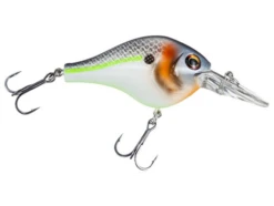 BERKLEY DIGGER -Deals Catchoria Store download 8baf2d0e e369 46b0 ab6f 24524cbf7f17