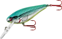 LINDY - WALLY SHAD -Deals Catchoria Store e5c8f051a508a676c7f7bc7de29c5968