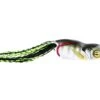 SCUM FROG LAUNCH SERIES -Deals Catchoria Store launch frog bluegill 1