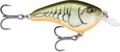 Rapala DT (Dives-To) Series -Deals Catchoria Store rapala otts garage og slim 6 crankbait chartreuse rootbeer crawdad