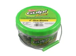 Berkley Gulp Alive Minnow Jars -Deals Catchoria Store rs 2 213f8af0 3139 4b96 a28a 5f0c9a7af559