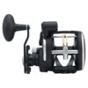 Penn Rival Level Wind Line Counter Reel LC Size 30 2 Penn Rival Level Wind Line Counter Reel LC Size 30 -Deals Catchoria Store s l1600 4 aebe459a a434 42f8 ac15 23cc13b2bff0