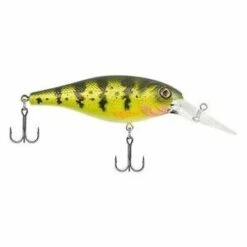 Berkley Bad Shad Medium Diving Crankbait 19 Berkley Bad Shad Medium Diving Crankbait -Deals Catchoria Store s l300 1