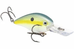 Strike King - KVD Square Bill Crankbait -Deals Catchoria Store strike king kvd 1 5 deep crankbait hckvds1 5d 538