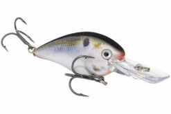 Strike King - KVD Square Bill Crankbait -Deals Catchoria Store strike king kvd 1 5 deep crankbait hckvds1 5d 699