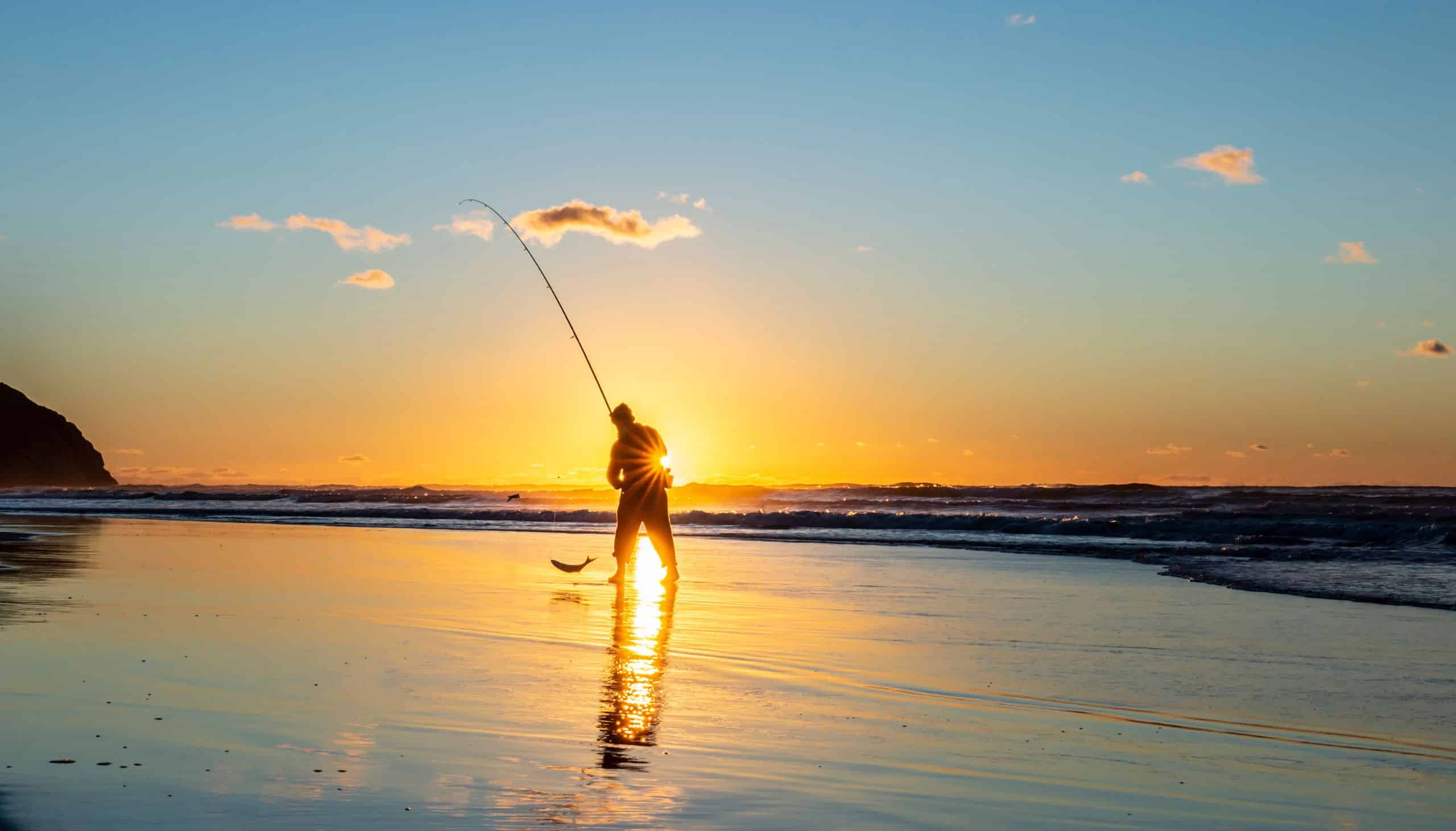 Deals Catchoria Store -Deals Catchoria Store Fishing Trips NSW South Coast image credit destination nsw